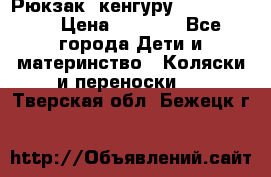 Рюкзак -кенгуру Baby Bjorn  › Цена ­ 2 000 - Все города Дети и материнство » Коляски и переноски   . Тверская обл.,Бежецк г.